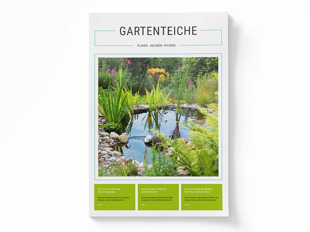 Gestaltung eines Produktmagazins im Bereich Gartenbau 